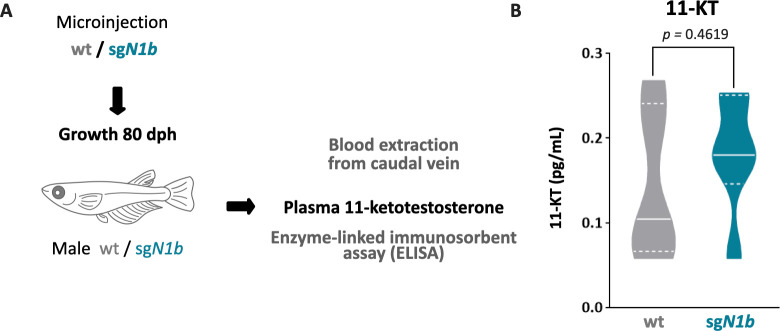 Figure 5—figure supplement 1.