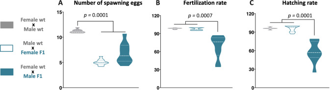 Figure 4—figure supplement 1.