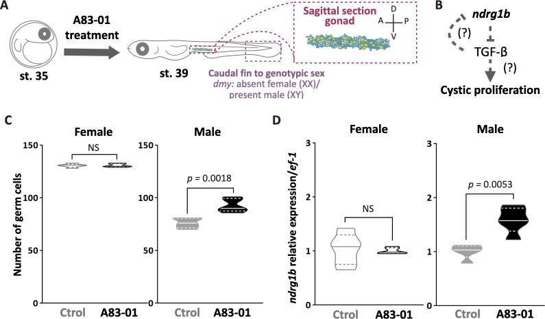 Figure 1—figure supplement 1.