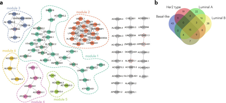 Stratification Of Lncrna Modulation Networks In Breast Cancer - Pmc