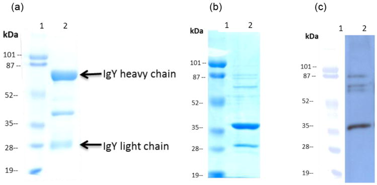 Fig.2