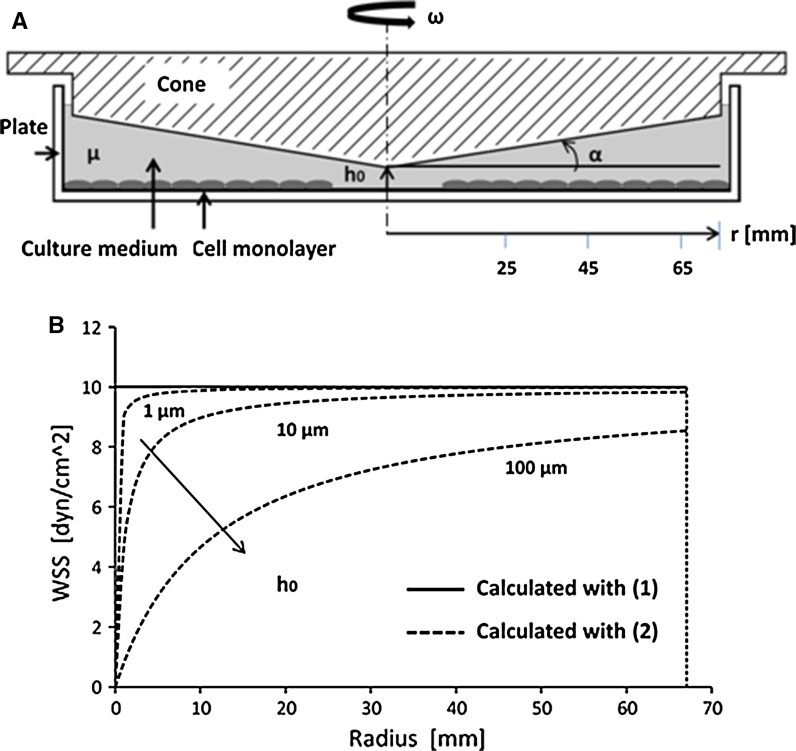 Fig. 3