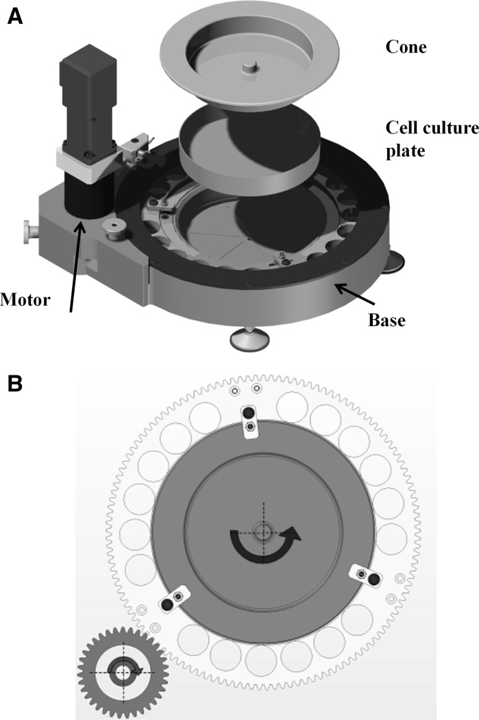 Fig. 1