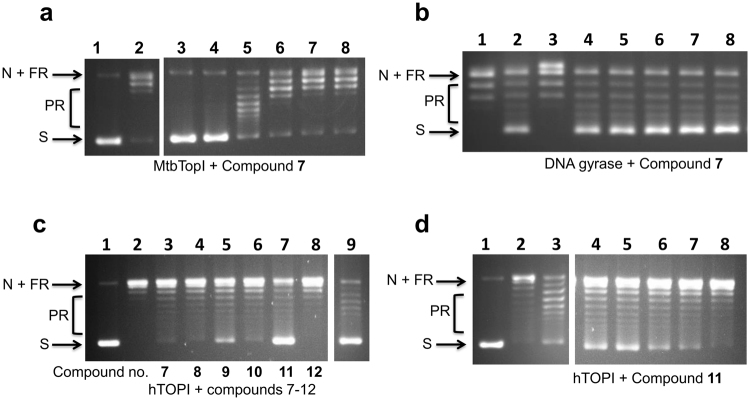 Figure 5