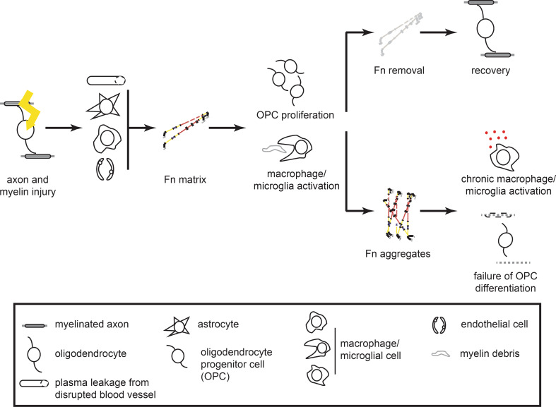 Fig. 2