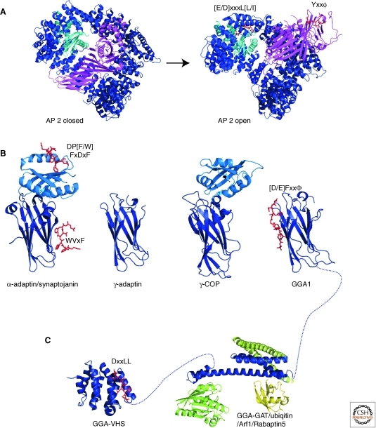 Figure 5.