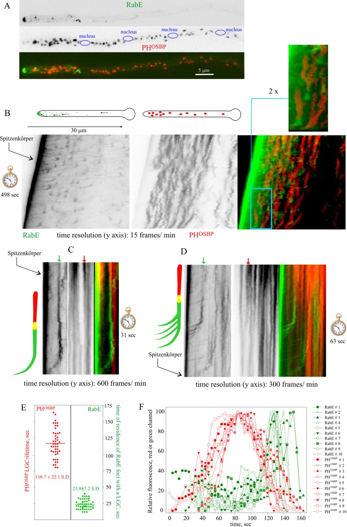 FIGURE 2: