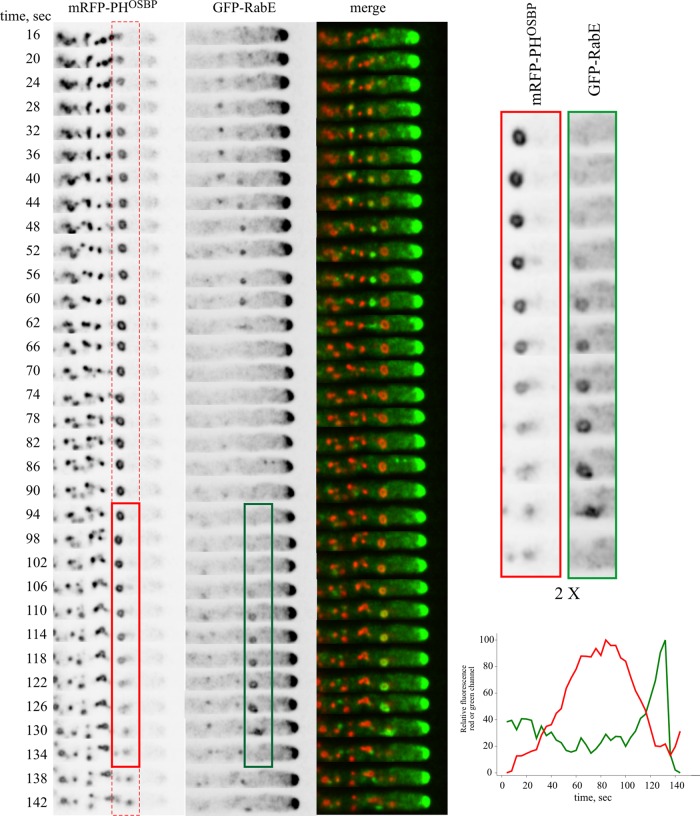 FIGURE 3: