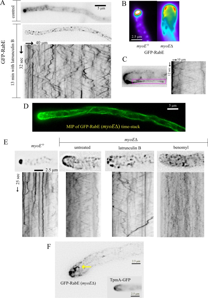 FIGURE 6: