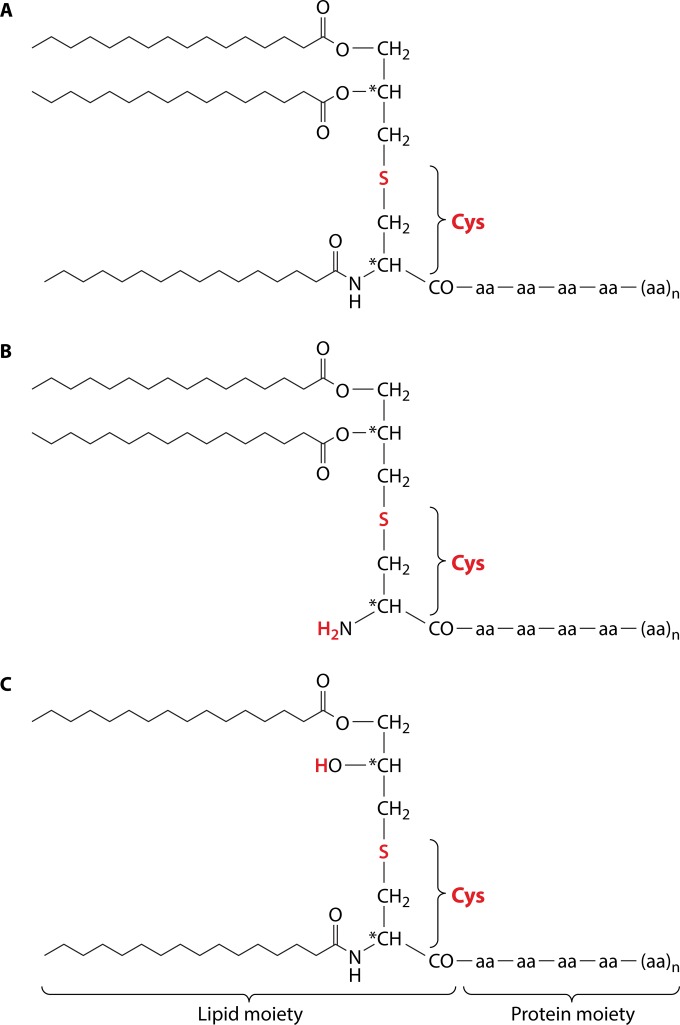 FIG 1