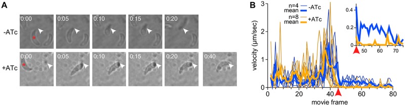 FIG 6