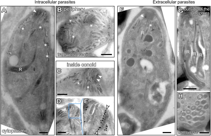 FIG 3