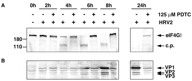 FIG. 7.