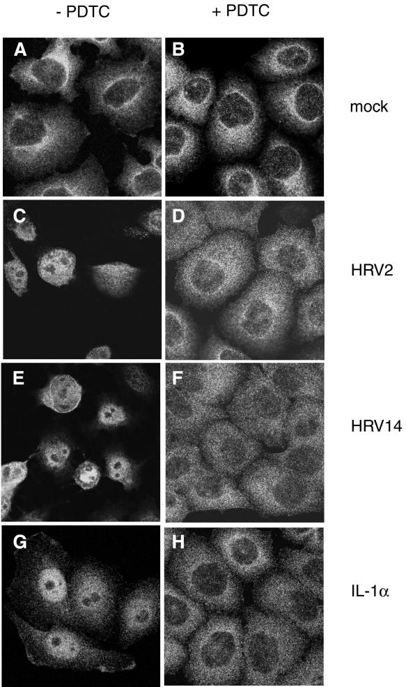 FIG. 10.