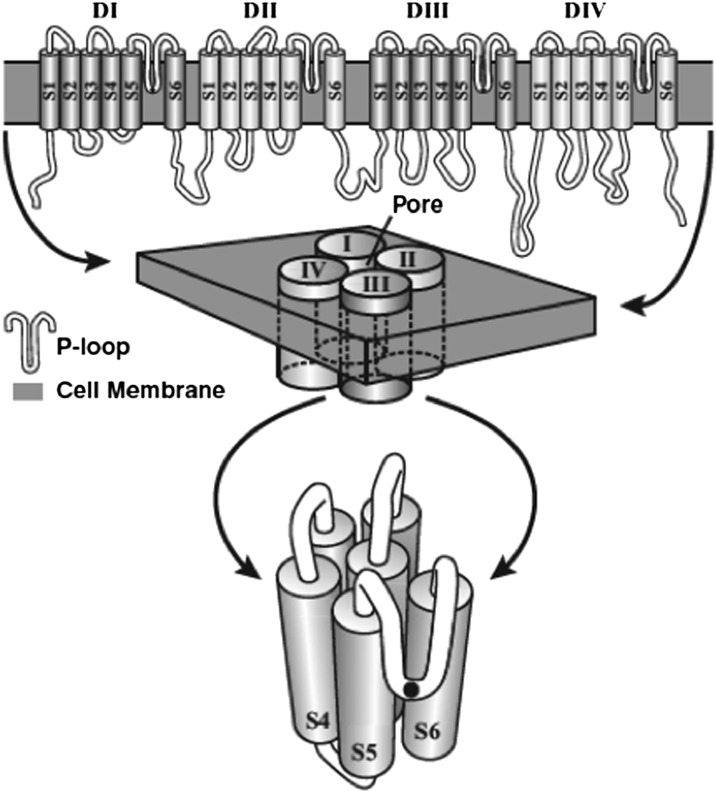 Fig. 2.