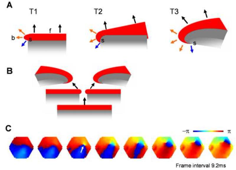 Figure 8