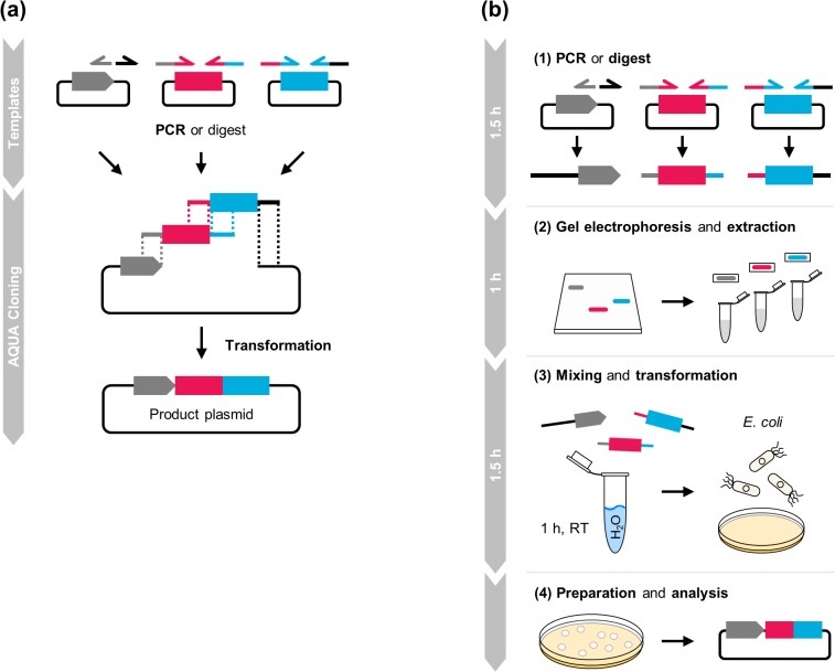 Fig 1