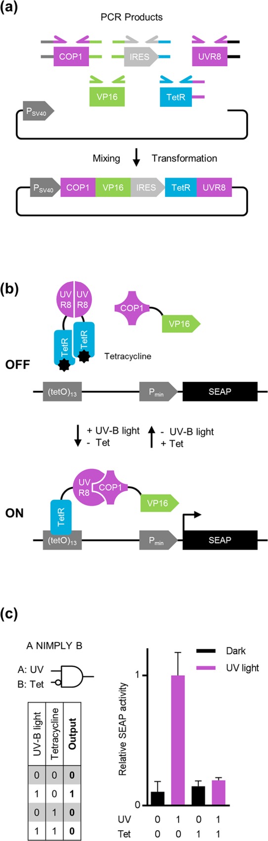 Fig 7