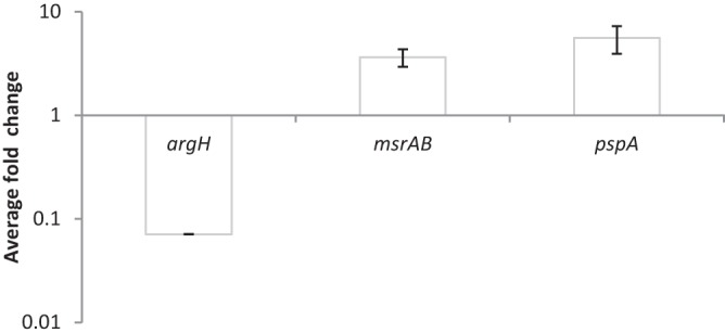 FIG 3