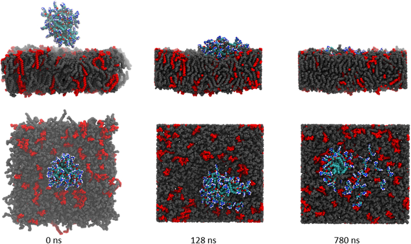 Figure 3: