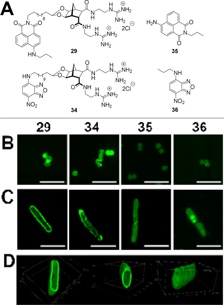 Figure 4: