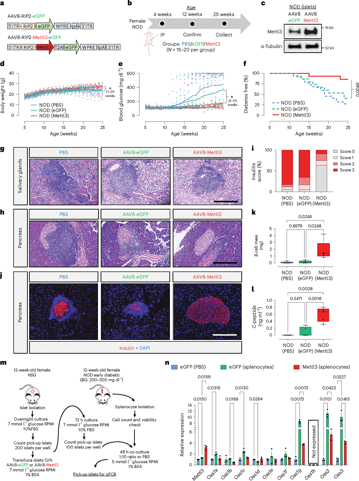 Fig. 7 |