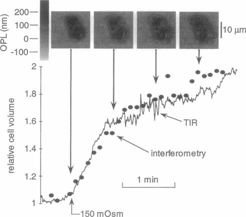 FIGURE 6