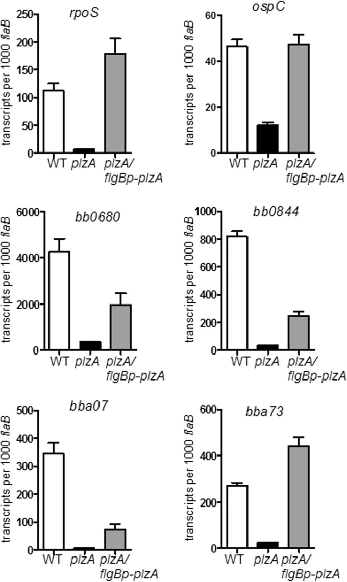 FIG 3