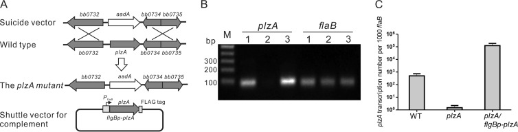 FIG 1