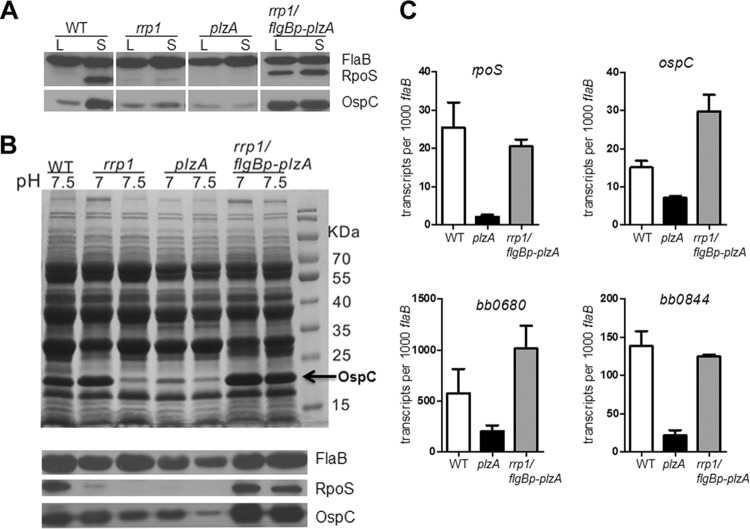 FIG 4