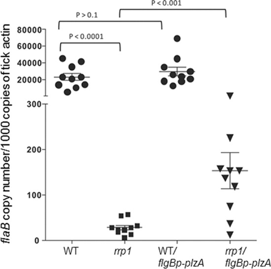 FIG 6