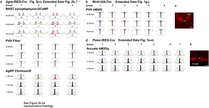 Extended Data Fig. 10.