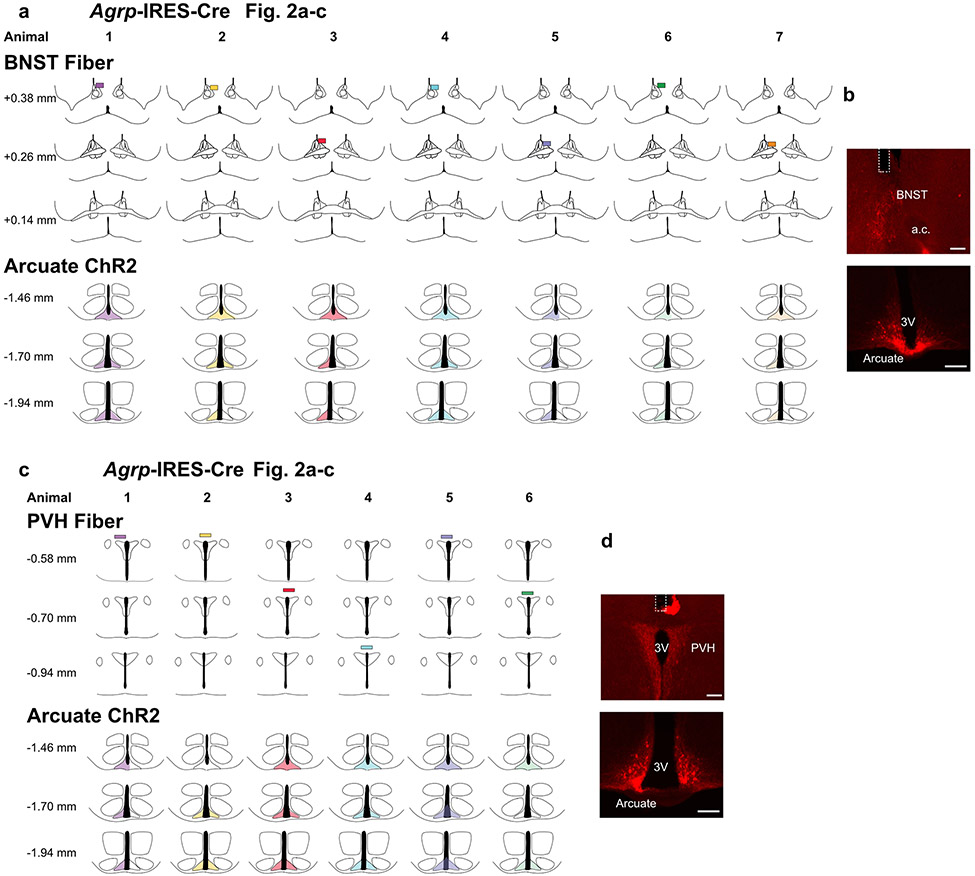 Extended Data Fig. 4.