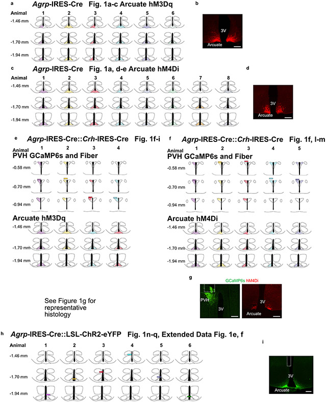 Extended Data Fig. 3.