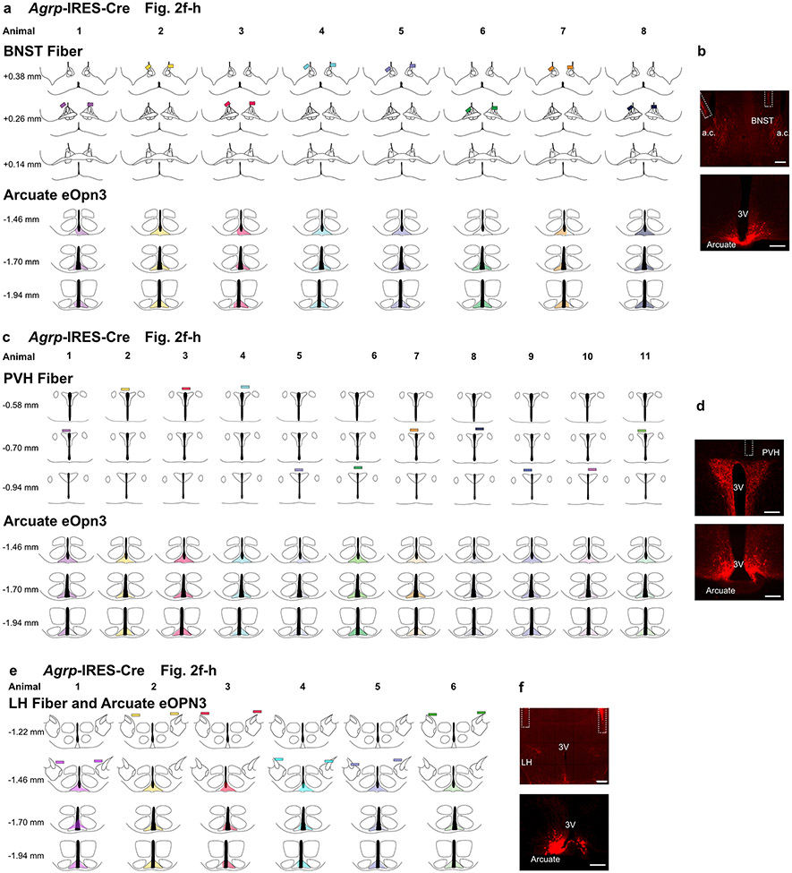 Extended Data Fig. 6