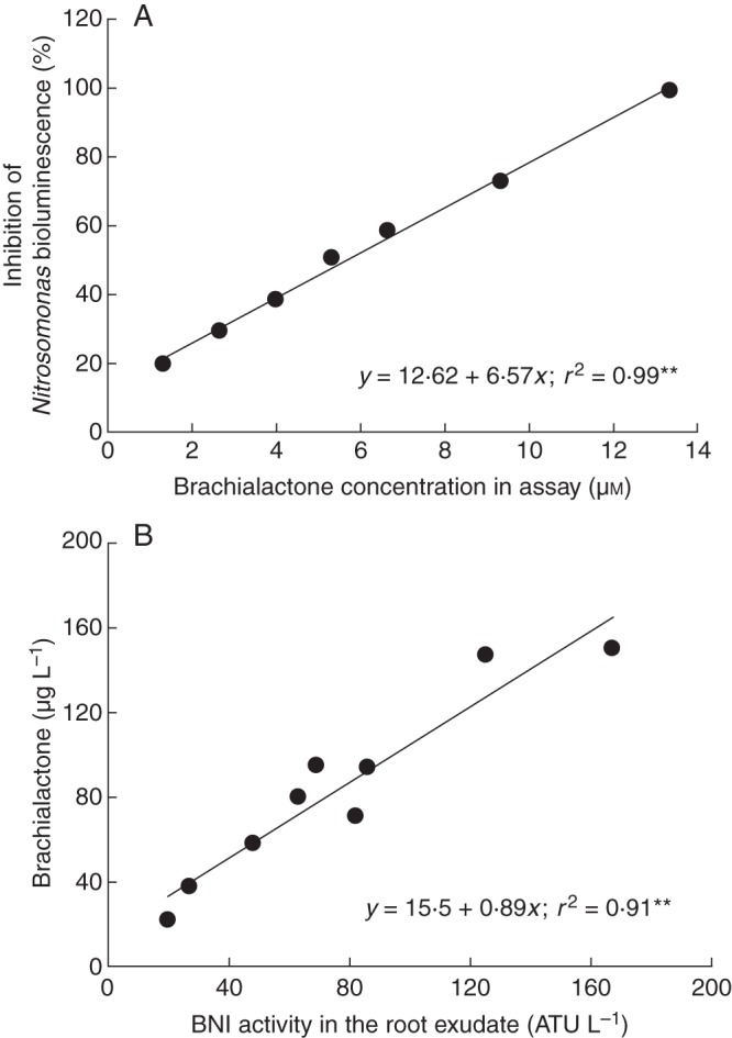 Fig. 11.