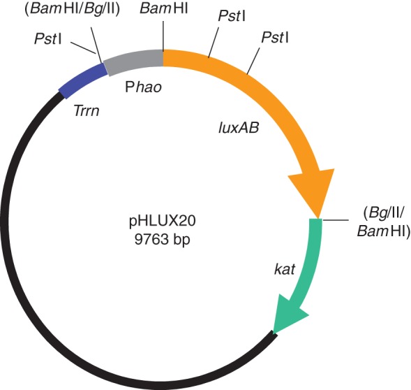 Fig. 3.