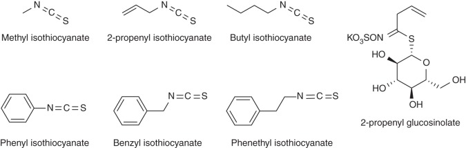 Fig. 9.