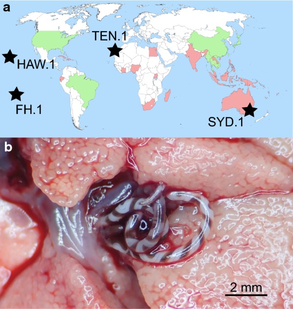 Fig. 1