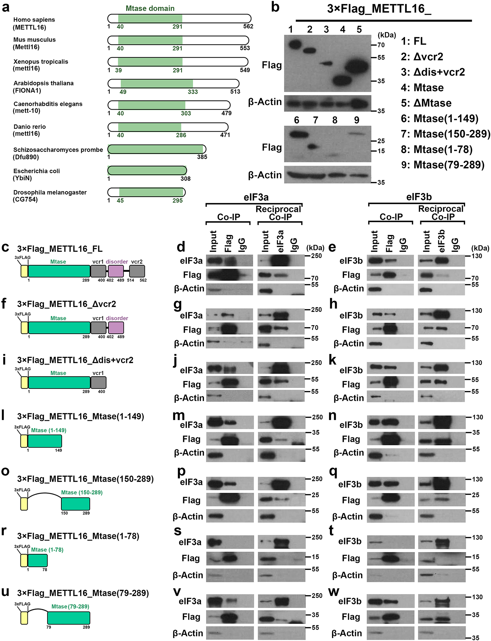 Extended Data Fig. 6