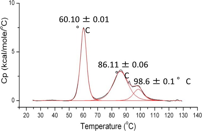 FIG 2