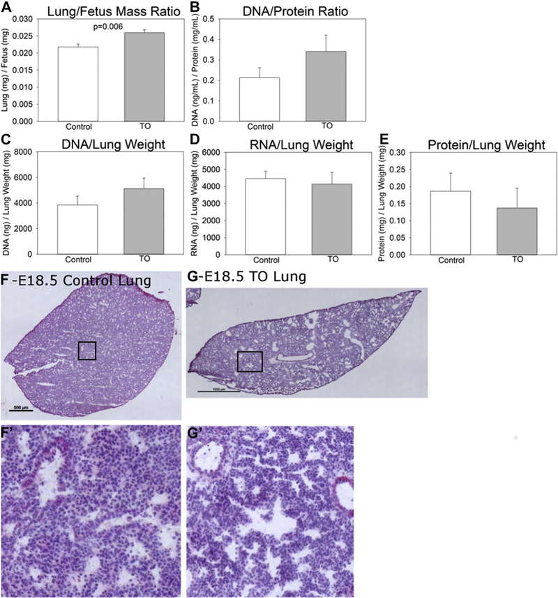 Fig. 2 ‒