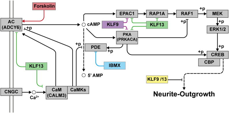 FIGURE 9