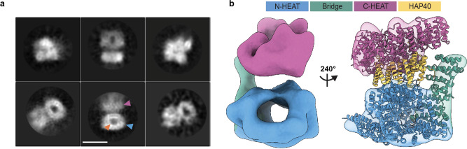 Fig. 3