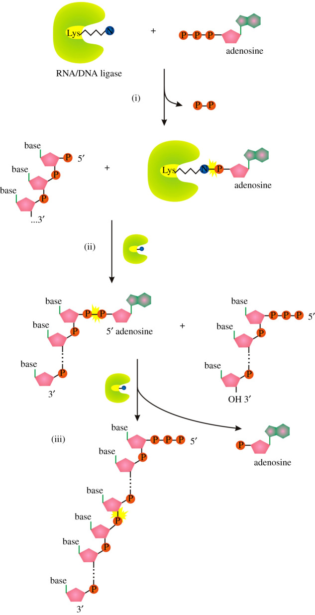 Figure 6. 