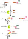 Figure 9.