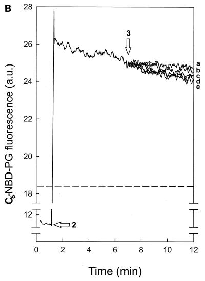 FIG. 1