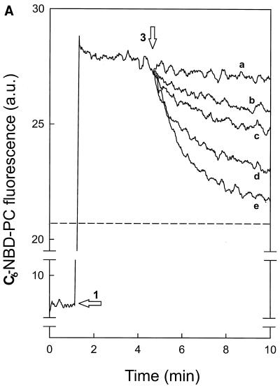 FIG. 1