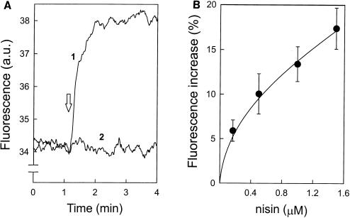 FIG. 3