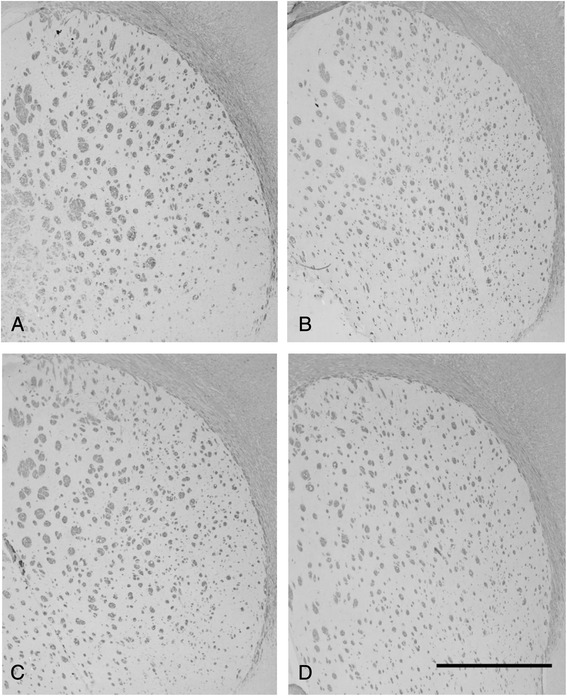 Fig. 9